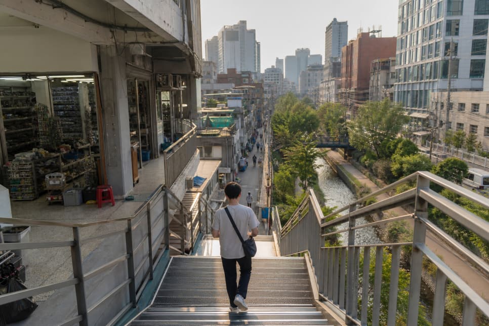 계단을 내려서며 내려다본 시장 골목과, 가게들이 늘어선 산책로입니다. 골목을 한눈에 굽어보는 자리에서 찍은 사진입니다.