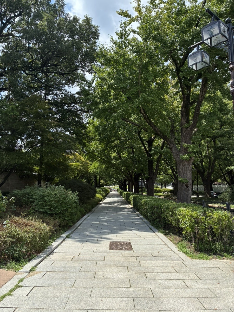 계동 골목에서 마주하는 삶의 축약본