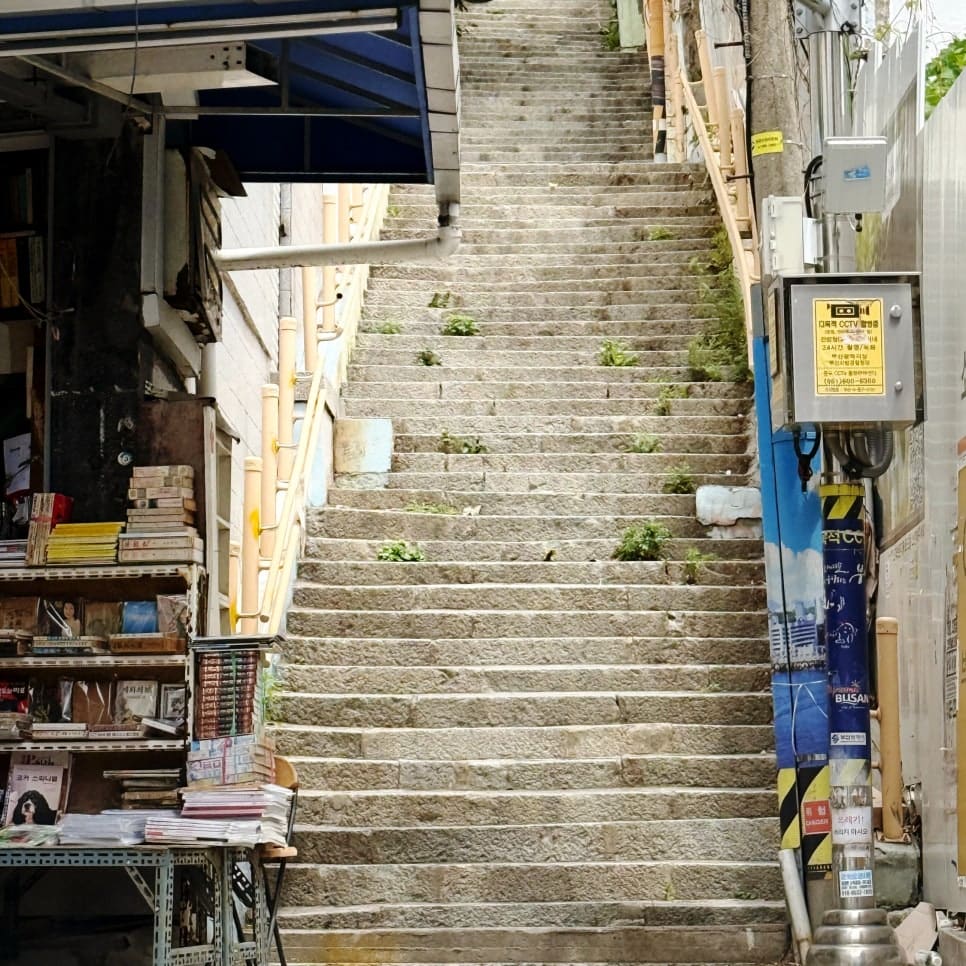 풀이 돋은 돌계단과, 텅 빈 나무 선반 위에 걸린 오래된 시 한 편이다. 계단을 오르내리는 발소리와 낡은 종이의 정적이 함께 있다.