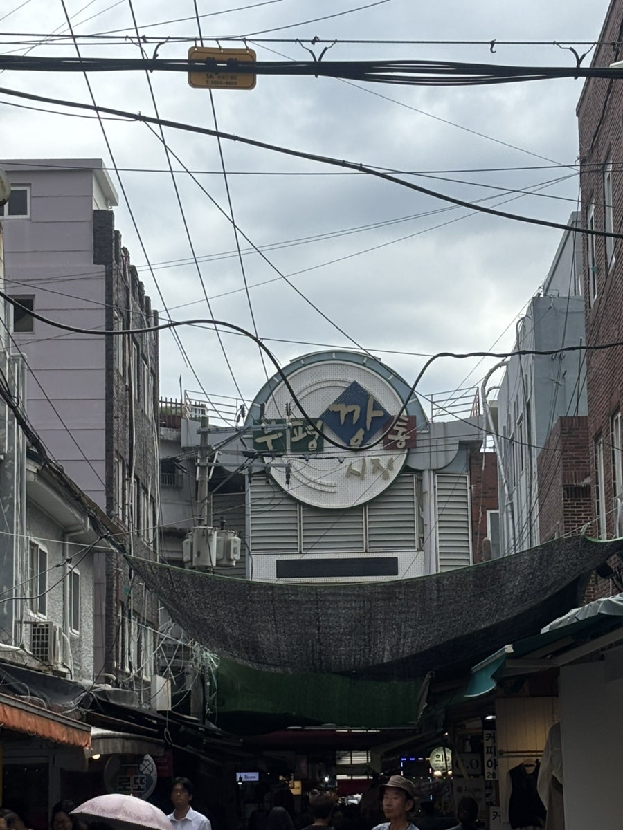 산리오 캐릭터 소품샵 모모타로의 내부입니다. 몬치치 인형과 헬로키티 상품이 벽면과 진열대를 가득 채우고 있어,