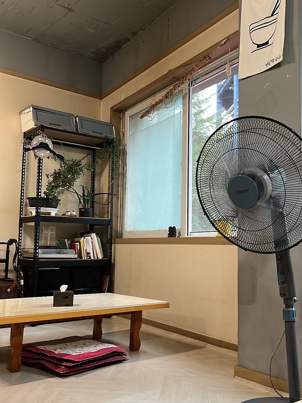 sejings가 찍은 가게 안쪽입니다. 좌식 테이블 두 개가 놓인 넓은 방과, 창가에 놓인 책장 옆을 지키는 커다란 선풍기가 함께 보입니다.