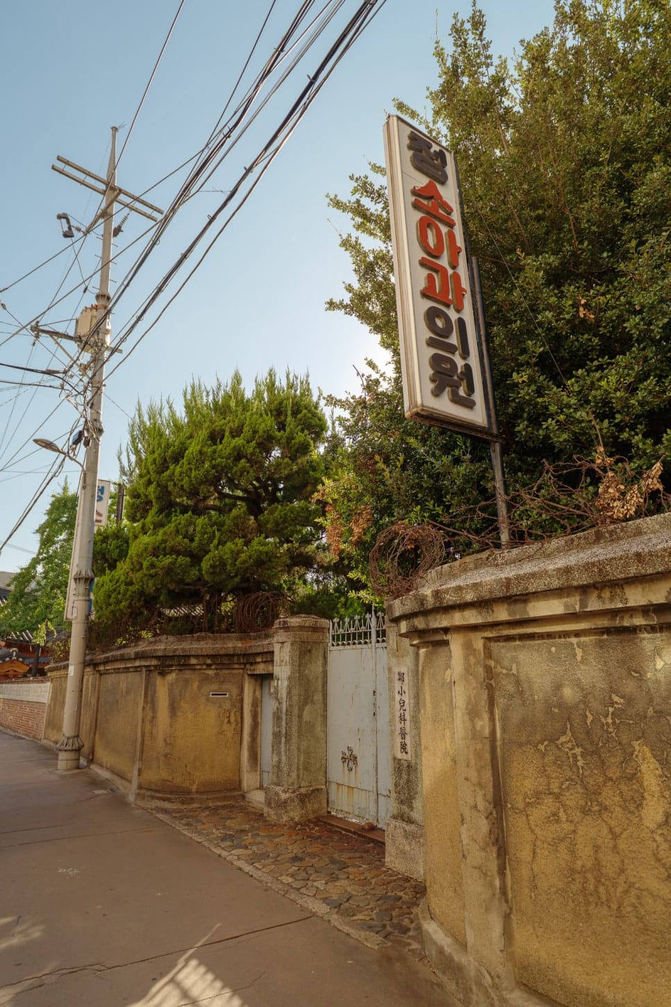 정소아과의원의 담장과 세로 간판. 담쟁이와 소나무가 담을 덮어가고 있다. 1930년대 근대 건축이 늘어나던 시절의 흔적이 지금도 병원 간판 하나로 남아 있다.