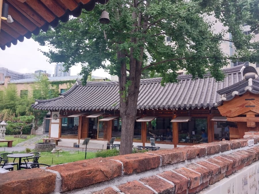건물을 빙 둘러 마당 쪽으로 가면 또 다른 얼굴이 나온다. 은행나무가 기와지붕 위로 가지를 늘어뜨리고, 돌로 쌓은 우물 조형물과 벤치가 놓여 있다.