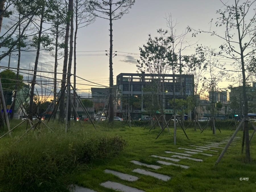 같은 손님이 공원 안쪽까지 걸어가며 남긴 사진입니다. 지지대에 기댄 어린 나무들 사이로 난 디딤돌 산책로와, 노을빛이 번지는 하늘 아래 뻗은 산책로를 함께 담았습니다.