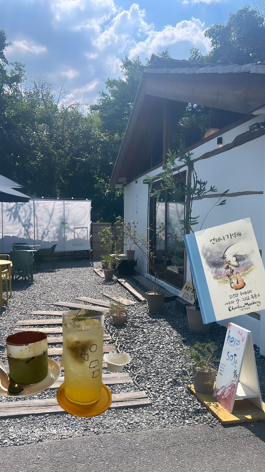 chacha194는 소제동 카페 중 이름만 보고 이곳을 고른 여행자입니다. 티라미수와 레몬허브티가 놓인 창가 테이블과,