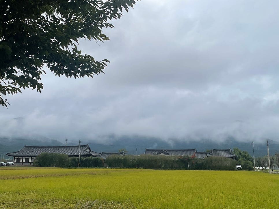 통창 밖으로 산자락이 보이는 자리에서 커피와 과일 에이드를 받았습니다. 다른 사진은 담장을 낀 야외 테이블, 파라솔 사이로 주차장이 비칩니다.