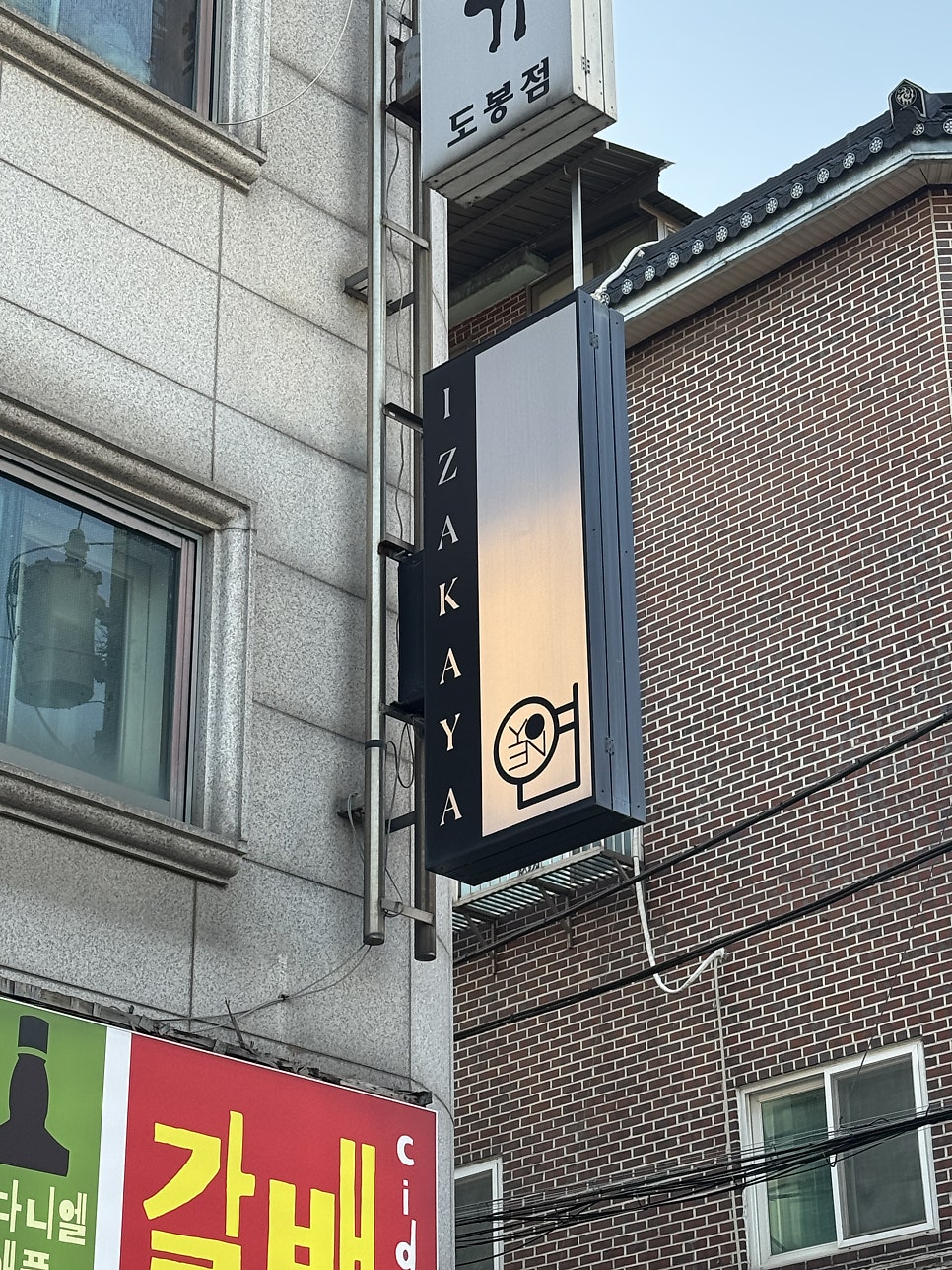 벚꽃 조화 아래, 골목의 밤이 열린다