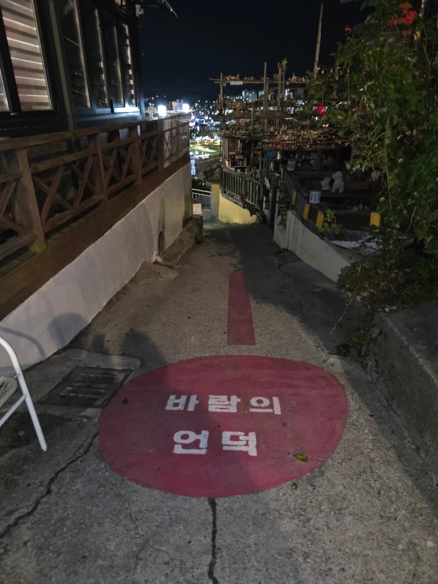 owkkra가 밤에 담은 두 장면입니다. 산비탈 아래 묵호항은 불빛으로 반짝이고, '바람의 언덕'으로 이어지는 계단에는 조명이 들어와 낮과는 전혀 다른 분위기가 흐릅니다.