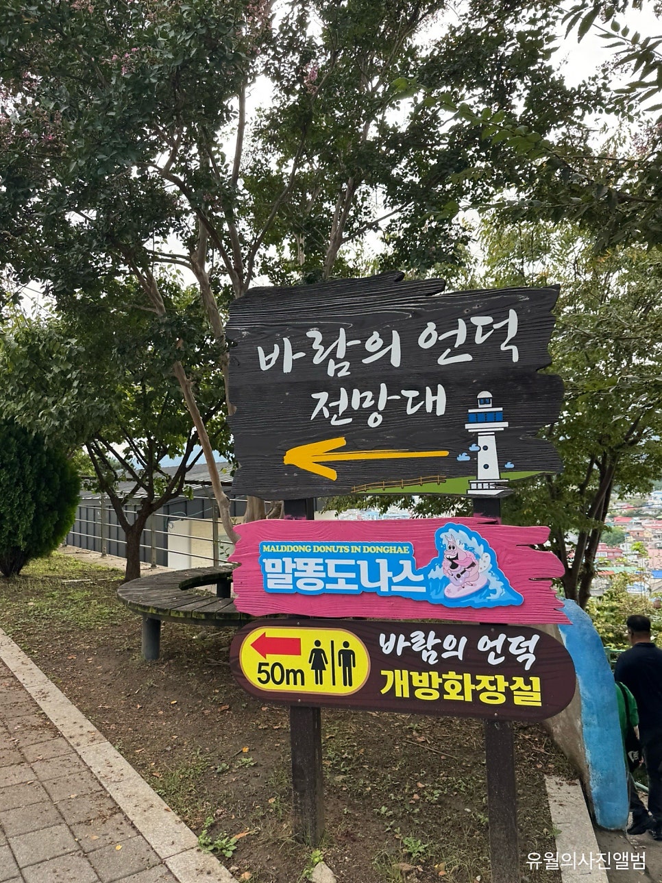 dailypium이 담은 두 장면입니다. '바람의 언덕 전망대'와 '말똥도나스'를 함께 가리키는 나무 표지판,