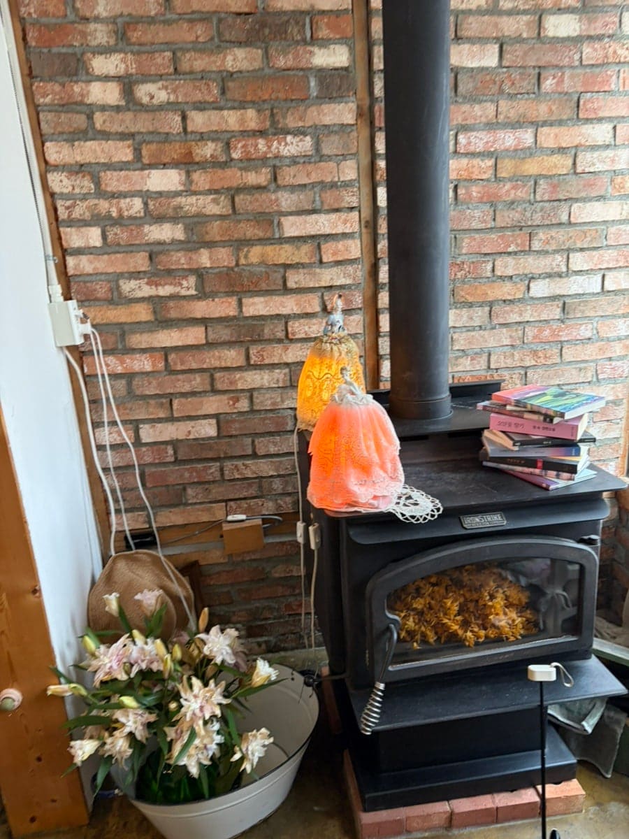 이 골목 어느 카페에서는 고양이가 사람보다 먼저 자리를 고른다. 꽃무늬 방석 위에 몸을 만 주황 고양이와, 손님 찻잔 옆에 자리 잡은 회색 고양이가 느릿한 오후를 보내고 있다.