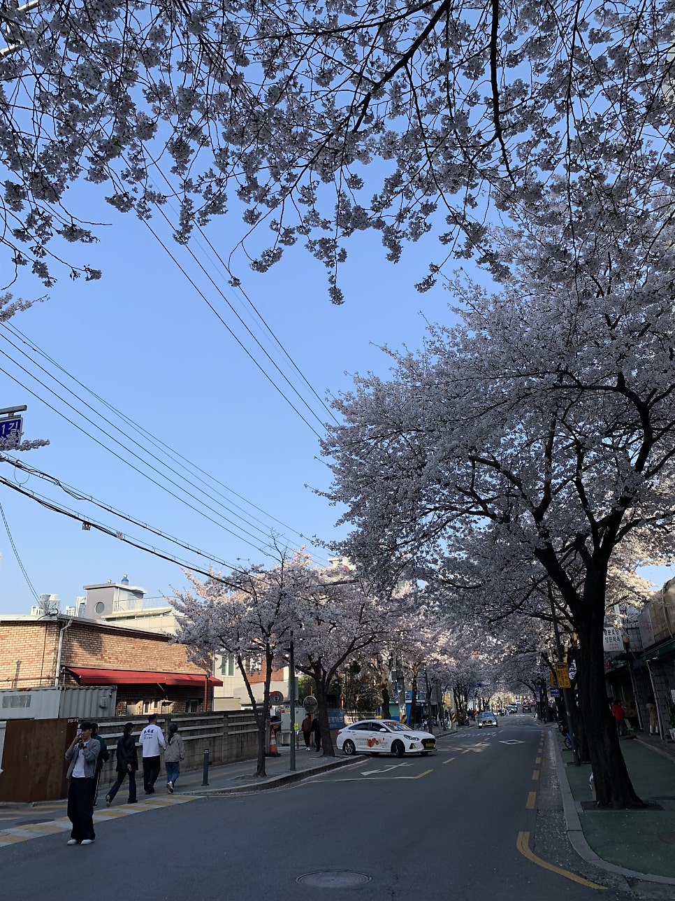 벽화로 남겨진 만화의 부활