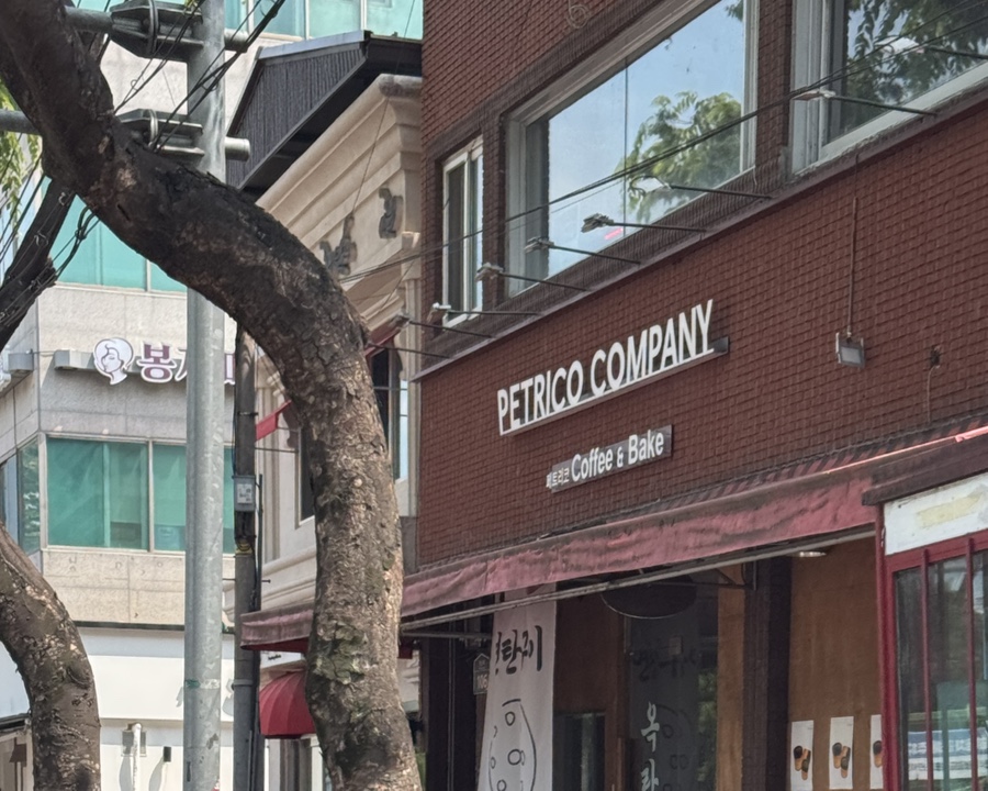 nara6194가 담은 카페 간판입니다. 가로수 가지에 반쯤 가려진 간판 글자가, 이 길의 간판들이 크게 소리치지 않는다는 인상을 남깁니다.