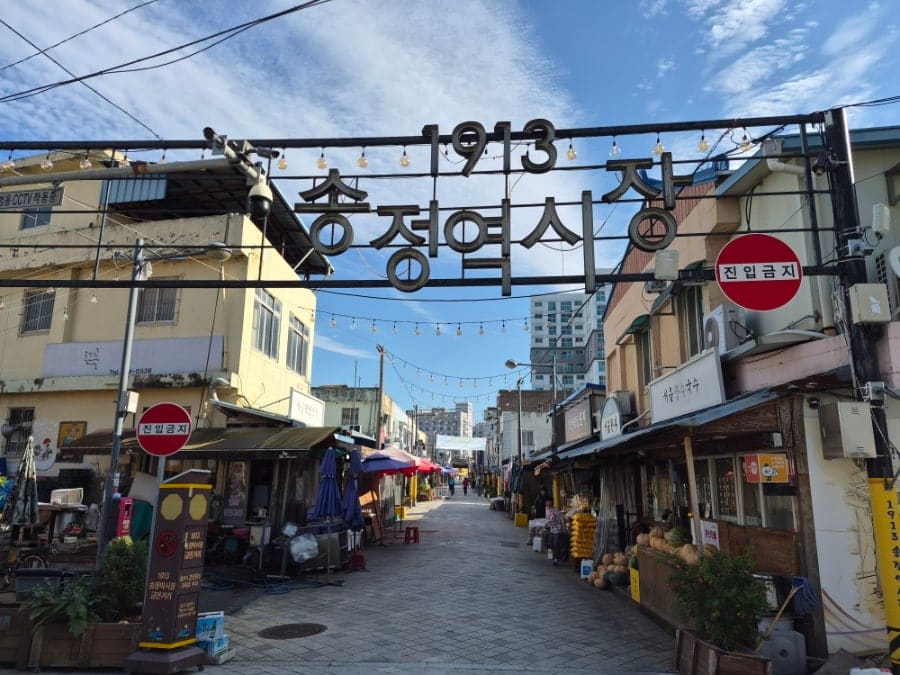 treeeast님이 이른 아침 시장을 찾아 남긴 사진입니다. 입구의 아치 조형물에는 1913이라는 숫자와 송정역시장이라는 글자가 큼직하게 걸려 있고,