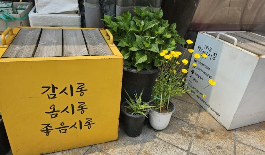misong0106님이 시장 입구에서 발견하고 웃음이 터졌다고 적은 사진입니다. 노란 나무 화단 상자마다 전라도 사투리로 적힌 글귀가 쓰여 있고,