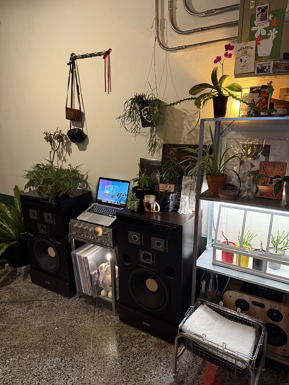 tidzmacpfl이 포스터 벽과 책장을 각각 찍었습니다. MOT COFFEE STUDIO 포스터가 붙은 벽 앞 초록 의자와 오렌지색 조명,