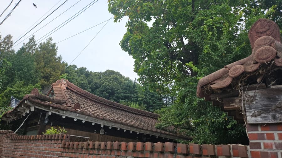 kpj1750이 사직공원 전망타워로 가는 길과 펭귄마을을 지나며 각각 찍은 골목입니다. 벽돌담 너머 한옥 지붕과,