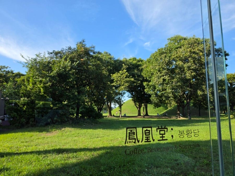 her_tastes2가 담은 두 방향의 창입니다. 한쪽은 나무 사이로 고분이 보이는 파노라마 뷰, 다른 한쪽은 오가는 사람들이 보이는 거리 뷰입니다.