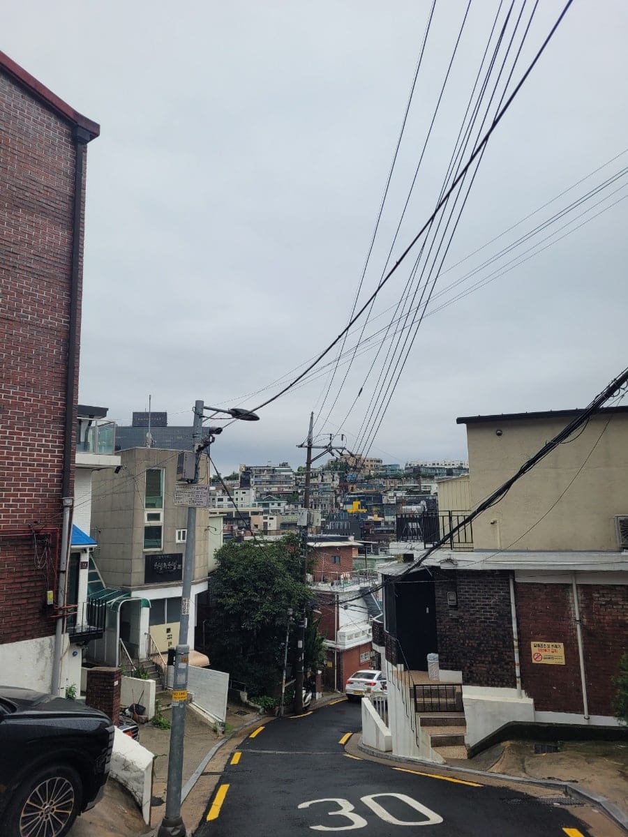 flourish31이 촬영한 회나무로의 수국과 저녁 오르막 골목입니다. 낮의 초록빛과 그늘이 길어지는 가파른 골목의 결을 함께 보여줍니다.