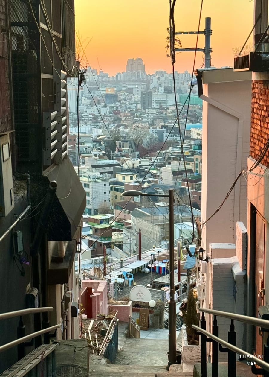 골목 계단 사이로 내려다본 노을과, 큰길에서 올려다본 남산타워의 밤빛을 블로거는 나란히 남겼습니다.