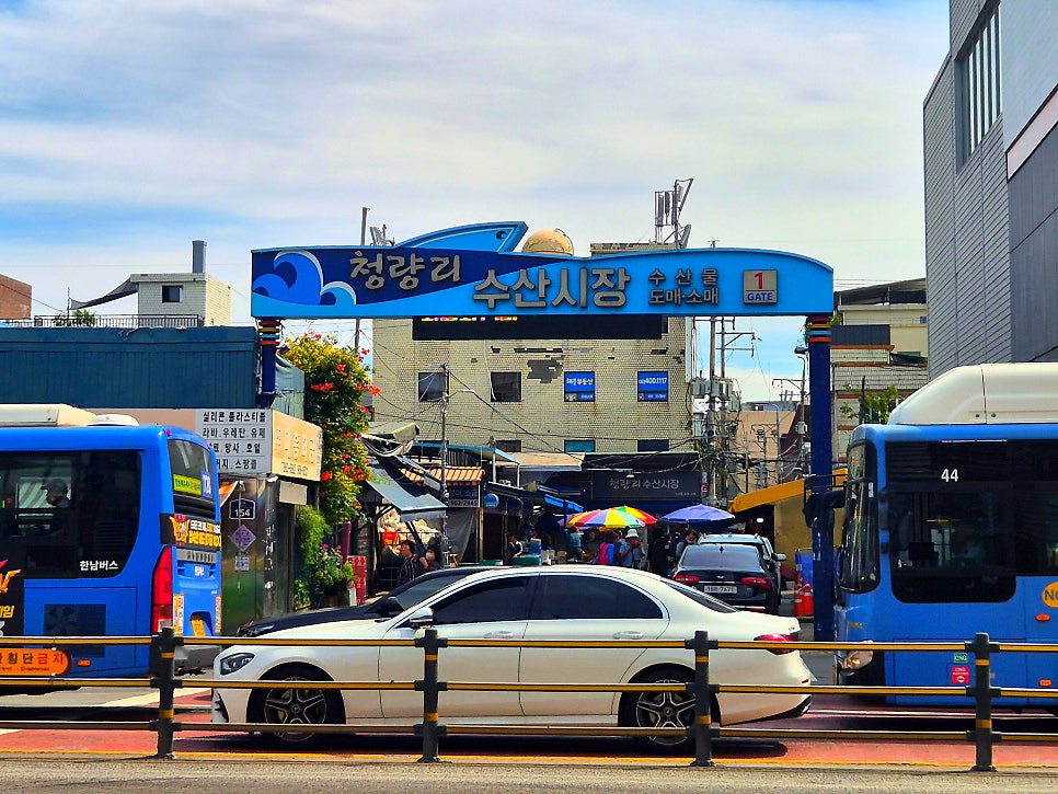 jhbluesss가 눈이 쌓인 겨울날 약전거리를 걸으며 담은 사진입니다. 해성당한약 같은 한약방 간판들이 늘어선 거리와, 서울한방진흥센터 앞 보행로가 함께 담겨 있습니다.
