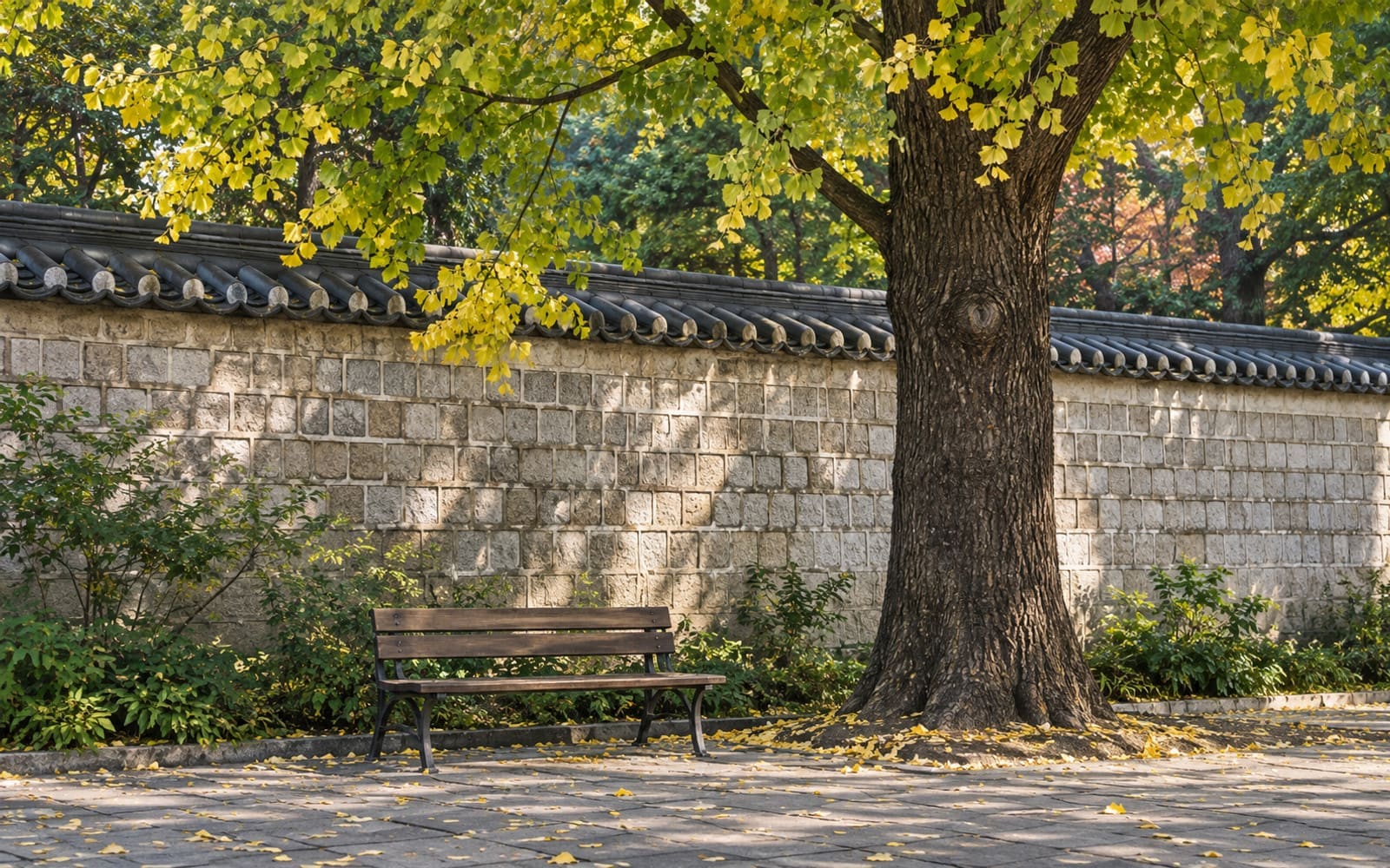 낮과 밤이 부르는 정동의 두 얼굴