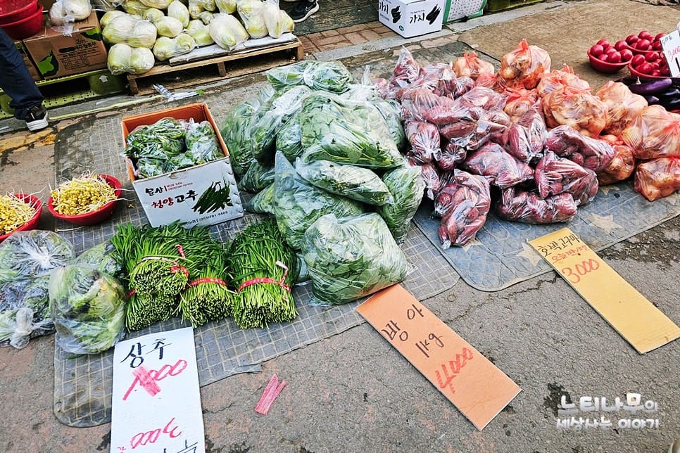 새벽 네 시 무렵, 바닥에 깐 천 위에 채소와 마 뿌리가 놓인 번개시장의 모습이다. 손글씨로 값을 적은 종이가 상품 옆에 꽂혀 있다.