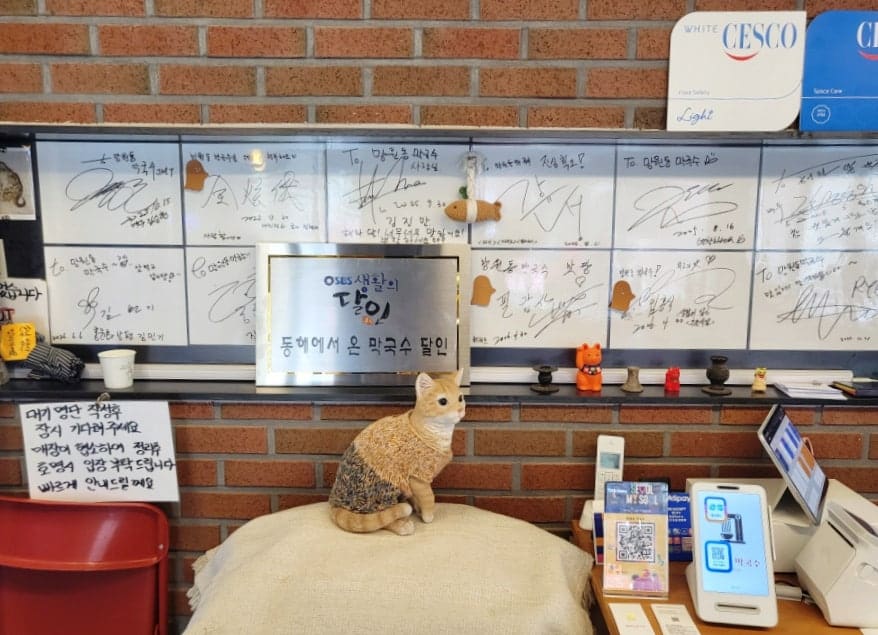 새로운 가게들의 입구. 정성스럽게 직접 쓴 메뉴판과 방명록. 누군가의 취향이 담긴 작은 공간에서 느껴지는 정성.