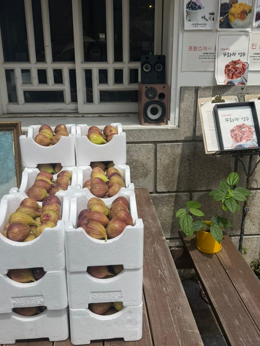 zzer0_0은 가게 앞 나무 벤치에 쌓인 스티로폼 상자 속 무화과와, 그릇 가득 담겨 나온 빙수를 나란히 남겼습니다.