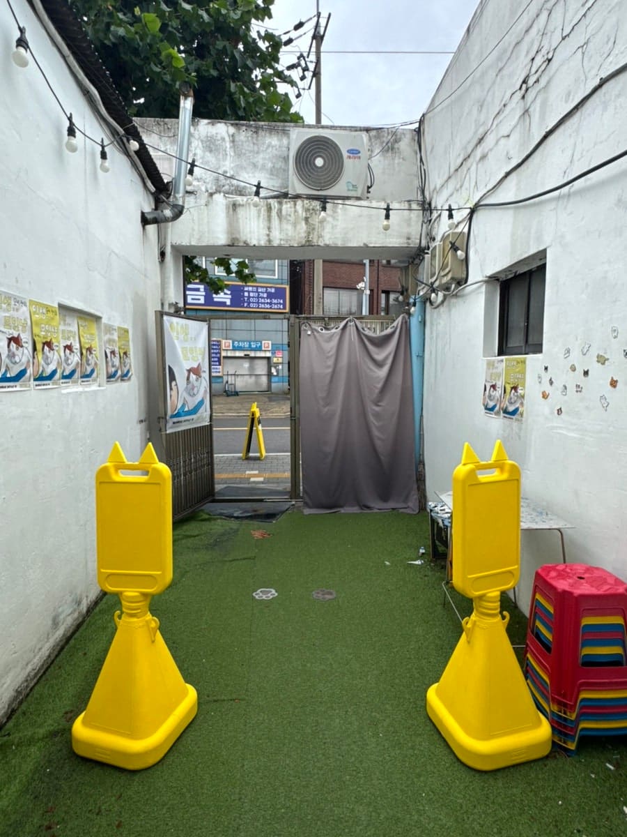 공영주차장에 차를 대고 걸어오면 만난다는 골목 초입입니다. 낡은 벽 사이로 노란 고양이 세이프티콘 두 개가 통로를 지키고, 안쪽에는 이 골목 특유의 '금속' 간판도 보입니다.