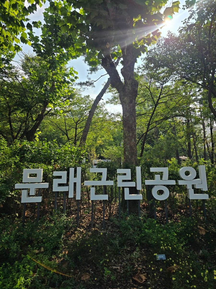 저녁 석양 시간, 벽돌 벽에 길게 늘어진 그림자의 풍경. 태양이 기울어진 각도에서 만들어지는 빛과 그림자의 대비. 하루 중 다른 시간대를 기록한 블로거들의 시점이 겹칠 때,