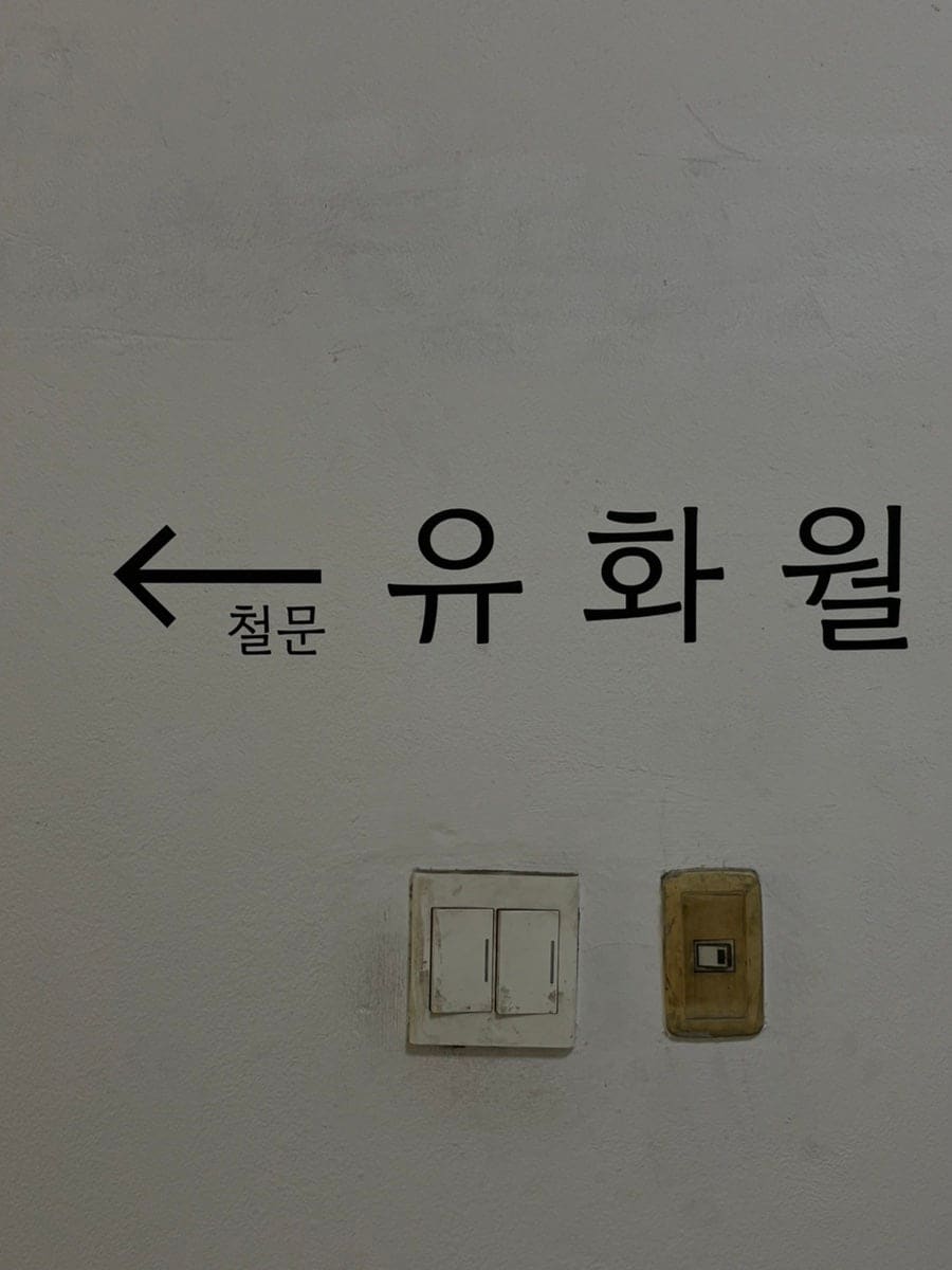 ehyunk는 건물 2층에 올라오면 귀여운 강아지 그림들이 걸려 있고, 그 그림을 따라 철문을 열면 공방 입구라고 안내했습니다.