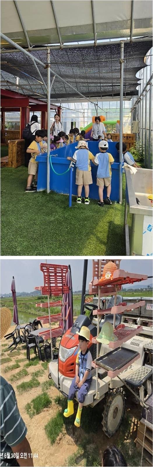 tfttiwdbeyoti는 방울토마토와 블루베리를 직접 올려 구워 먹는 피자를 이 하루의 기억으로 꼽았습니다. 사진에는 열매가 맺힌 블루베리 나무와 천막이 선 밭,