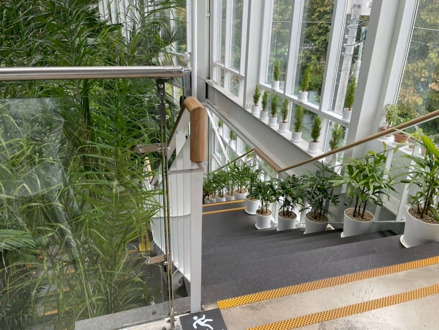 ssossotoday는 3층 창가석을 차지하려고 오픈 시간보다 삼사십 분 일찍 갔는데도 이미 줄이 서 있었고, 문이 열리자마자 사람들이 우르르 3층으로 달려갔다고 적었습니다.