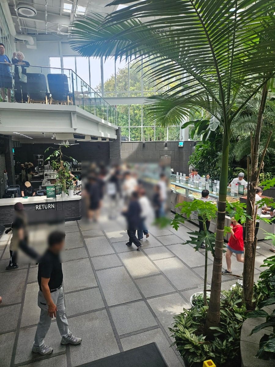 vegeyum_0은 대형 화분과 야자수가 산책로를 이루는 진짜 식물원 분위기라고 적었고,