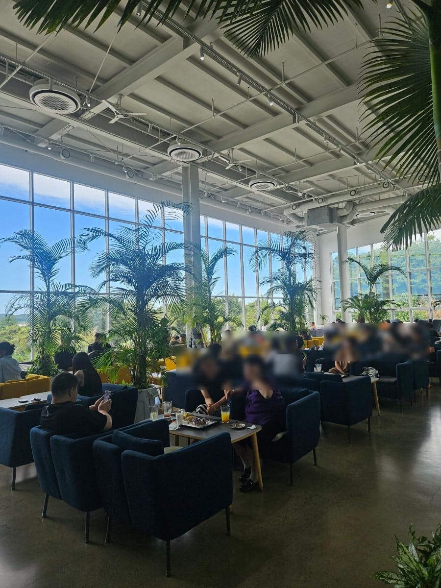 vegeyum_0은 대형 화분과 야자수가 산책로를 이루는 진짜 식물원 분위기라고 적었고,