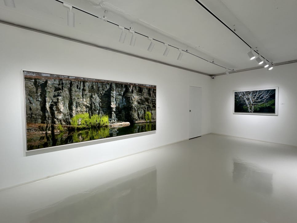 좁은 계단 끝에 그림 한 점이 걸려 있습니다. 마당을 지나 계단을 올라 현관문을 열어야 작품을 만날 수 있다고 이 블로거는 적었는데,