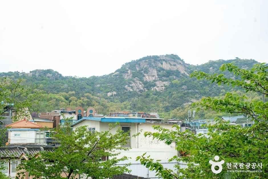 붉은 벽돌 건물에 'THE SOGA'와 'TEALIFE' 간판을 나란히 붙인 가게 외관과, 골목 지붕 너머로 인왕산 바위 능선이 보이는 풍경을 함께 담았습니다.