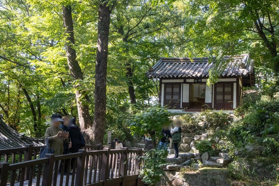 꽃무릇 개화 소식을 듣고 한달음에 찾아간 maum0577은 계곡 따라 피어난 붉은 꽃과, 나무 그늘 속 요사채가 마치 비밀의 숲 같았다고 적었습니다.