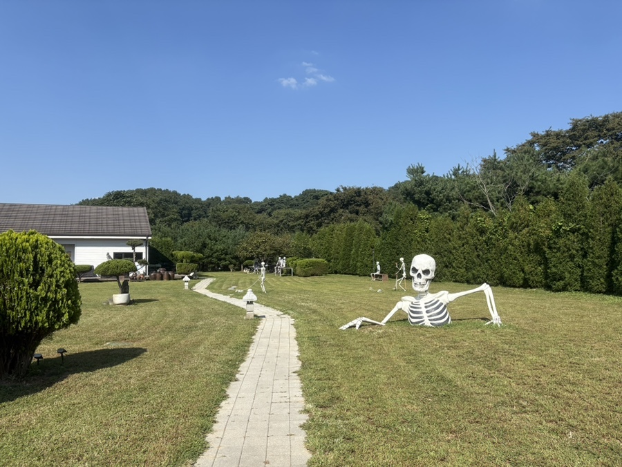 정원에 해골이 누워 있어도 안은 고요한 카페