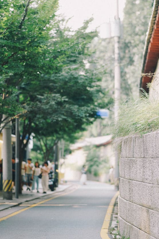 한옥의 목재 구조가 새 카페의 인테리어로 다시 살아난다. 오래된 담장과 새로운 유리창, 전통과 현대가 한 건물 안에서 공존하는 모습이 이 골목의 변화를 가장 잘 보여준다.
