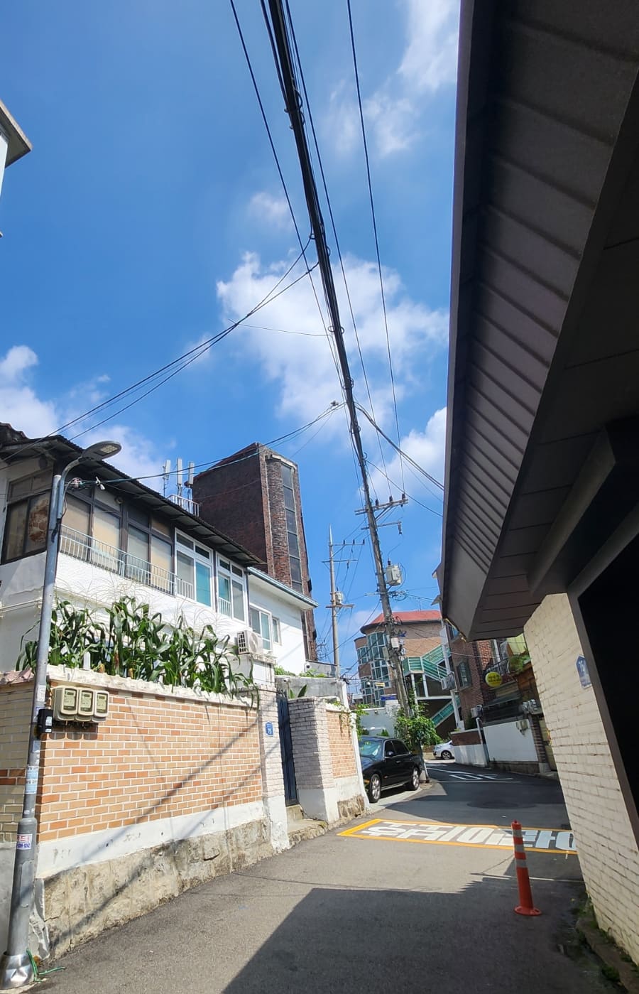 msook1028m은 낡은 벽돌 담장 위에 누군가 올려둔 화분과 작은 시계 장식을 담았습니다. 담장 안쪽은 오래됐는데 그 위를 꾸민 손길은 최근의 것이라,