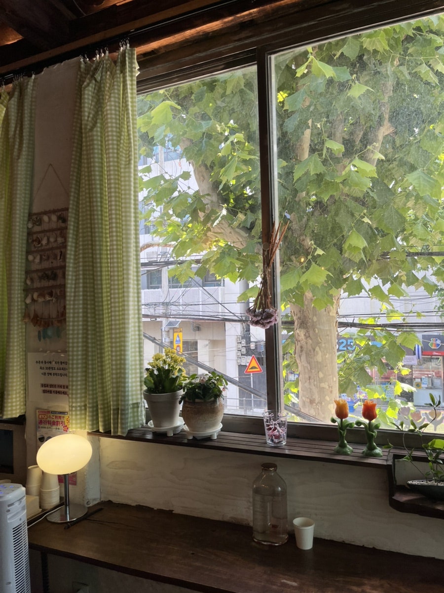 eyes_cat는 가로수 잎이 넘실대는 창과, 체크 커튼에 매달린 강아지 인형을 찍었습니다. 자연친화적인 분위기가 음식과 잘 어울린다고 적었습니다.