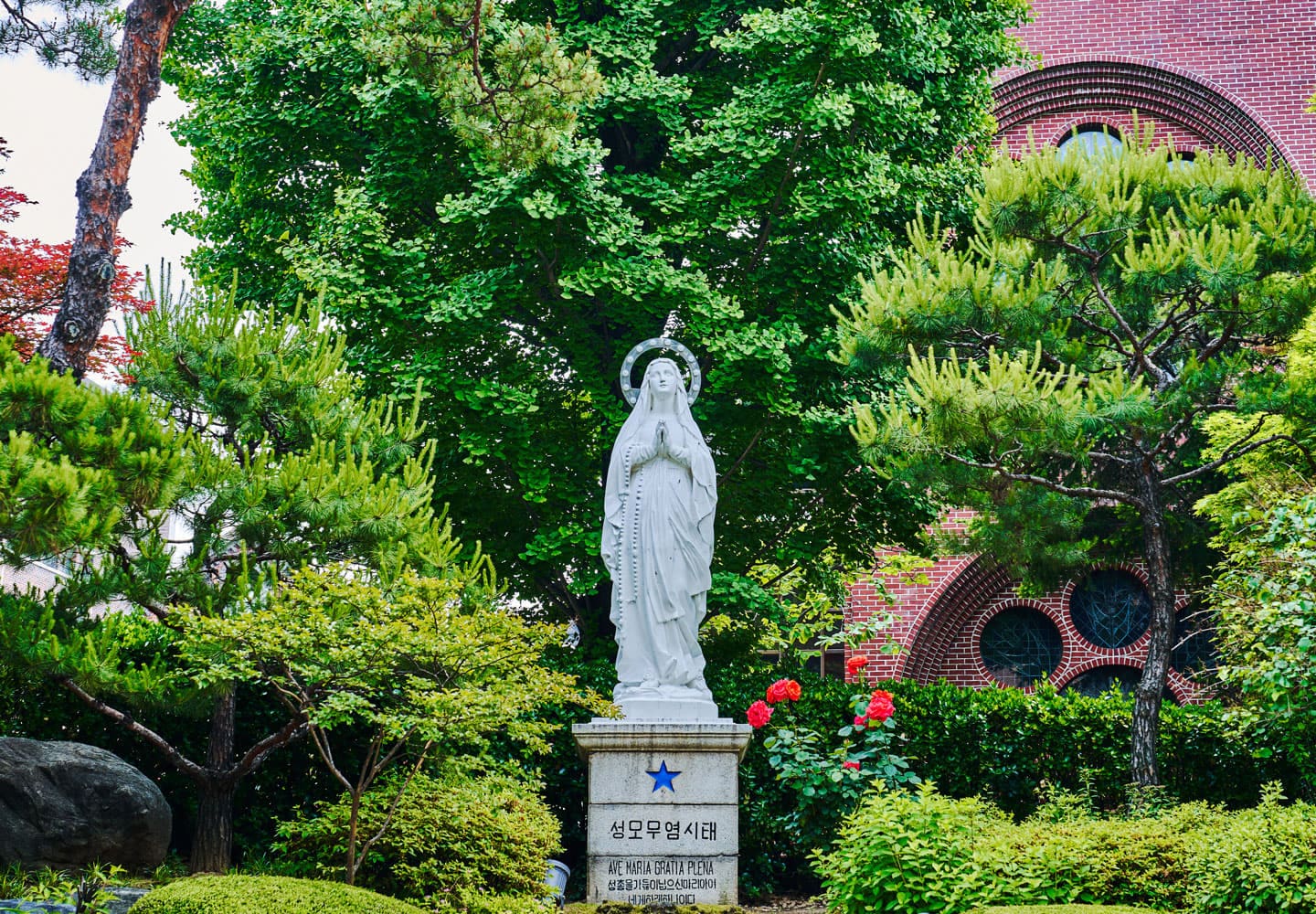명동성당
