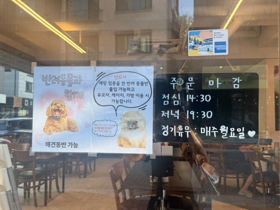 chaeaeti는 열 번은 방문했다는 단골로, 하얀 외관은 찾기 어렵지 않고 일본어가 적혀 있으며 예방접종을 한 반려동물과 함께 갈 수 있다고 적었습니다.