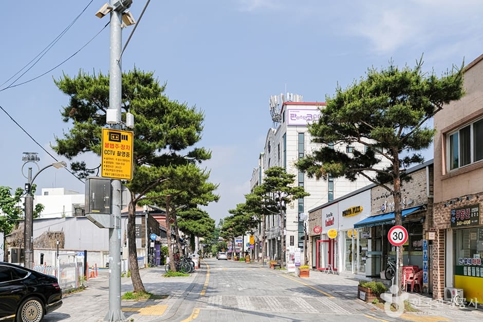리모델링한 하얀 3층 건물과 옥상 테라스가 있는 카페 건물, 그리고 소나무가 늘어선 큰길가에 상점들이 이어진 행리단길의 낮 풍경입니다. 사진관,
