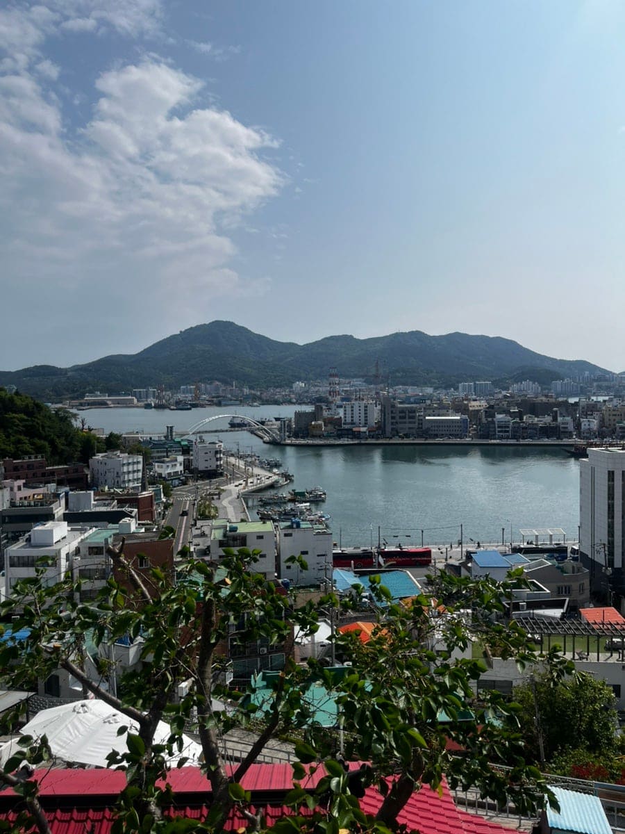 havebeen_pp가 남긴 사진입니다. 야외 테라스에서 내려다본 강구안 항구와 산자락 풍경을 담았는데,
