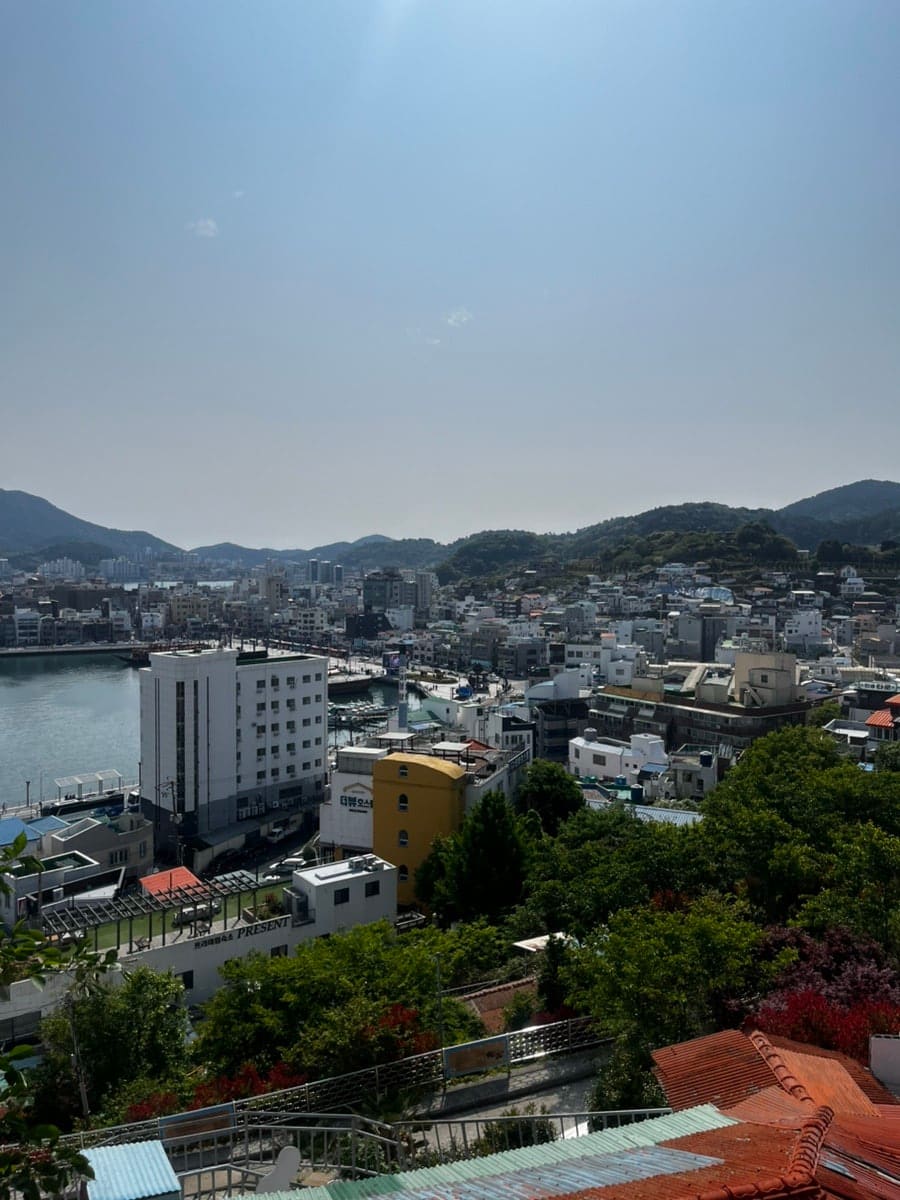 havebeen_pp가 남긴 사진입니다. 야외 테라스에서 내려다본 강구안 항구와 산자락 풍경을 담았는데,