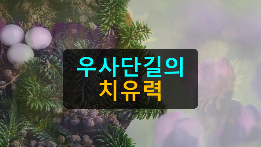 우사단길 고추장찌개 포차, 골목의 온기를 맛본다는 것
