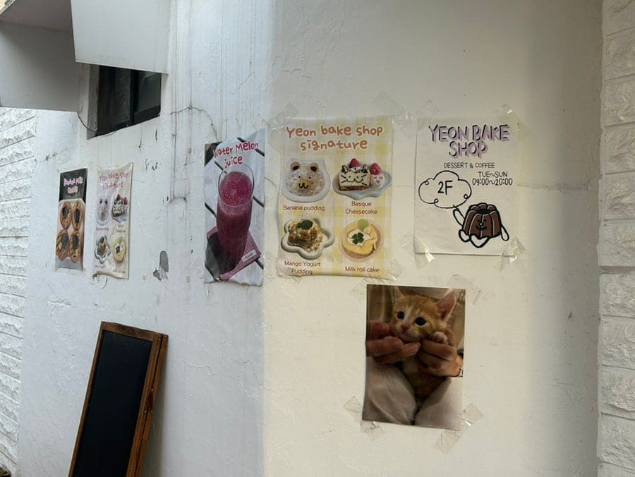 마스코트 고양이와 함께하는 따뜻한 카페. 블로거는 감성적인 분위기와 맛있는 디저트가 마음을 사로잡는다고 적었습니다.