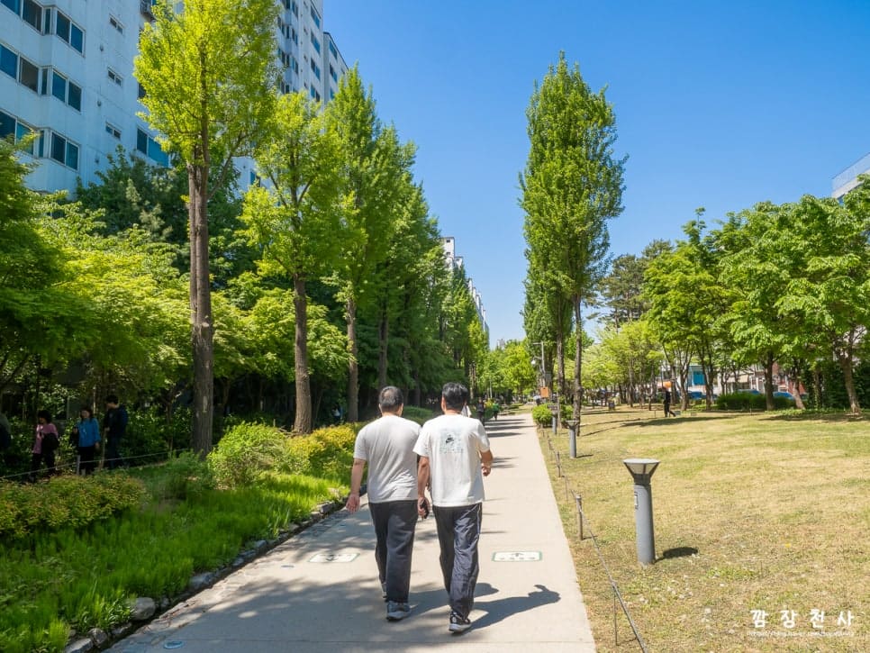 가로수 그늘이 길게 드리운 산책로를 두 사람이 나란히 걷고 있습니다. 벤치에 앉아 신발끈을 고쳐 매거나 잠시 머무는 사람들도 같은 그늘 아래 섞여 있습니다.